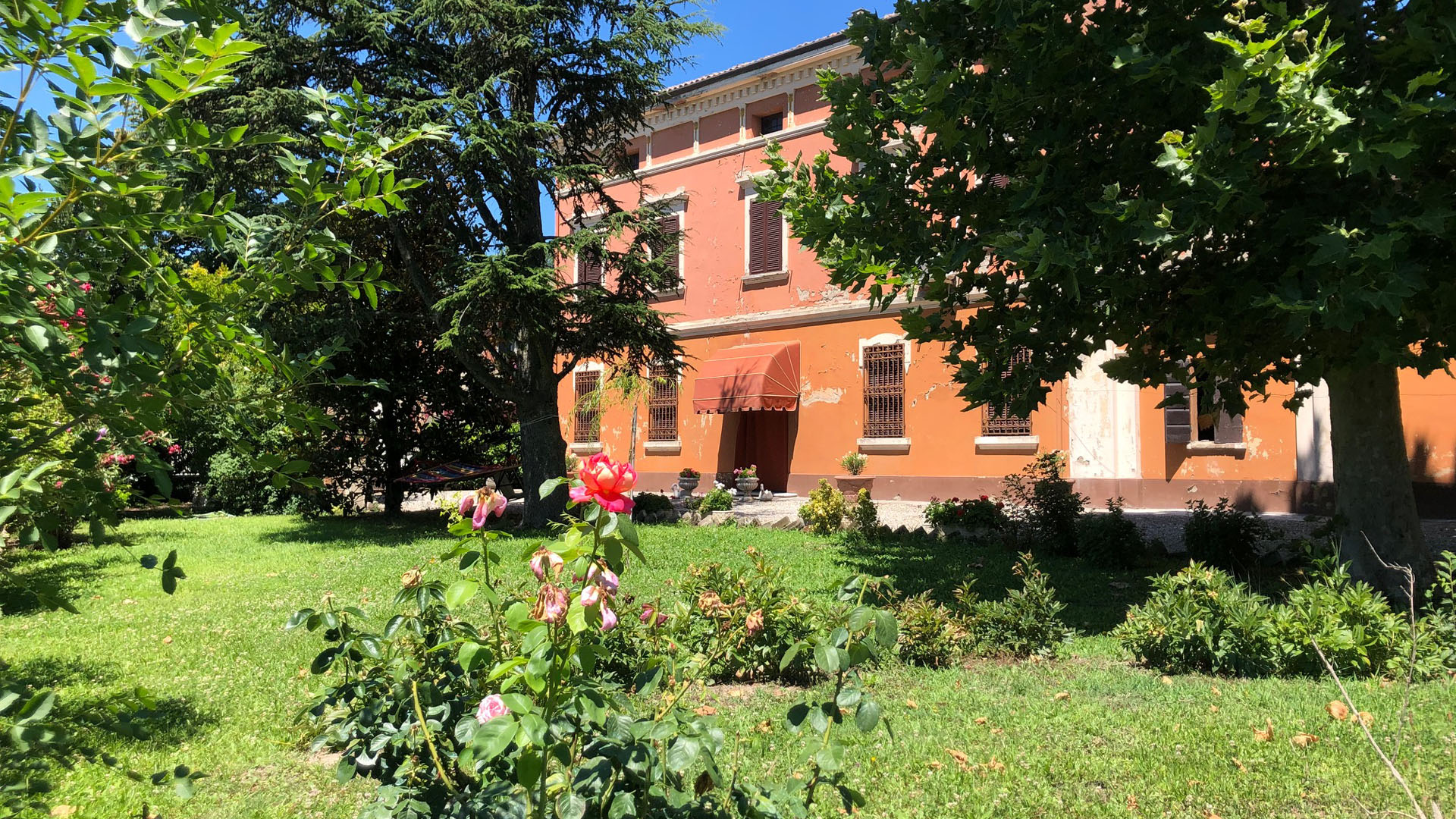 Ho volutamente intitolato questa foto "la rosa" perchè la si ha in primo piano, appena sbocciata, rossa con sfumature magenta, sento quasi il profumo. In secondo piano si può vedere il retro della casa famiglia, la facciata è composta da nove finestre, cinque al piano superiore e quattro al piano terra, dove in mezzo ad esse si colloca la porta d'ingresso tenuta all'ombra da una cappottina.