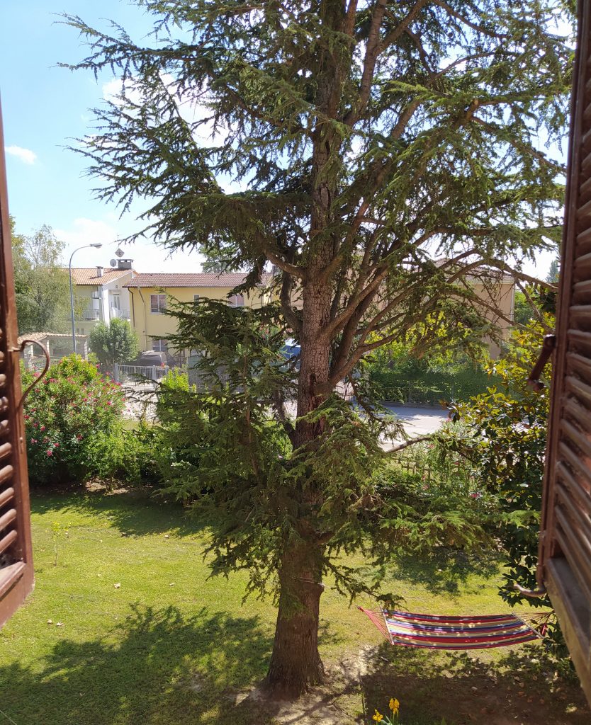 Foto fatta dalla finestra nel piano superiore della casa famiglia, si ha una vista sul giardino dove si erge un grande albero che fa ombra sull'amaca messa a disposizione per stendersi e prendersi una meritata pausa.