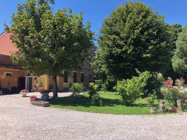 In questa foto si può vedere meglio la parte frontale della casa famiglia, le persone vengono accolte da un giardino curato con siepi, fiori e alberi che nel verde prato trovano il loro spazio. Si vede la porta d'ingresso frontale tenuta al fresco da una tenda scorrevole, e girato l'angolo si ha una fila di finestre per ammirare il rigoglioso giardino.